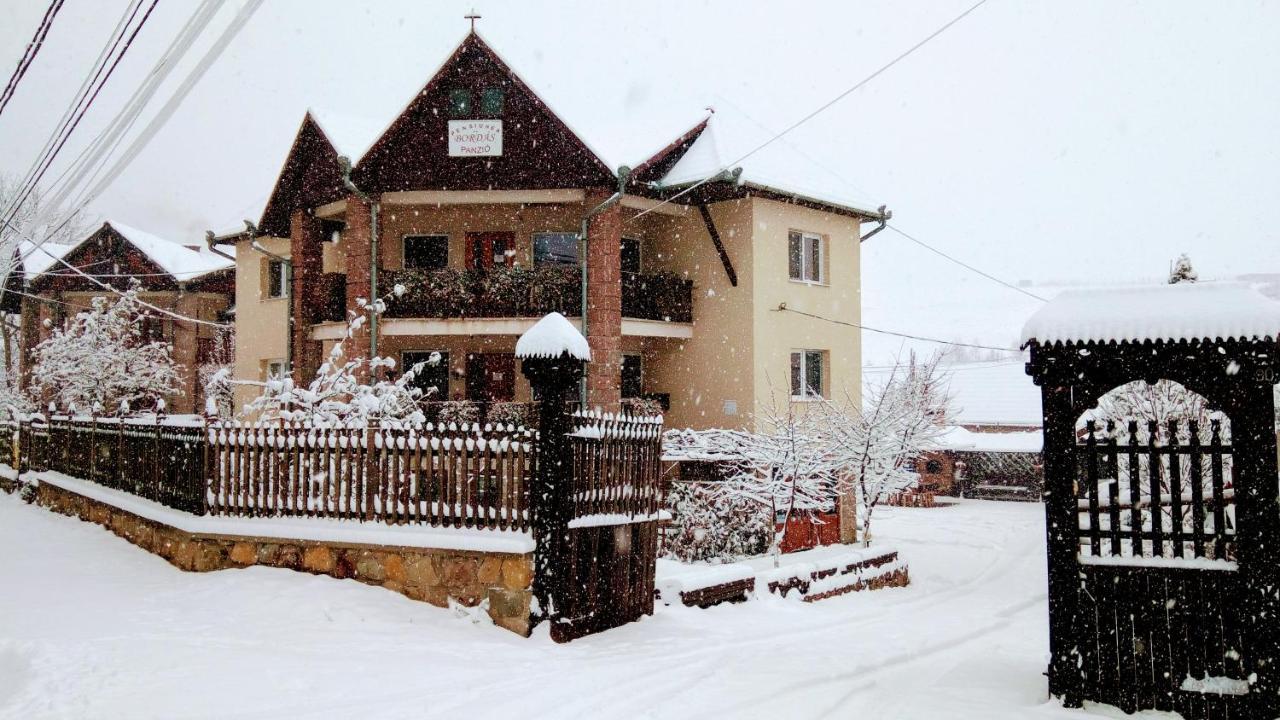 Pensiunea Bordas Panzio Sfantu Gheorghe  ภายนอก รูปภาพ